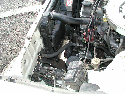 RADIATOR_HOSE_OUT.JPG - 179,600BYTES